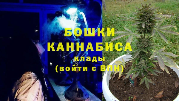 гашик Белокуриха