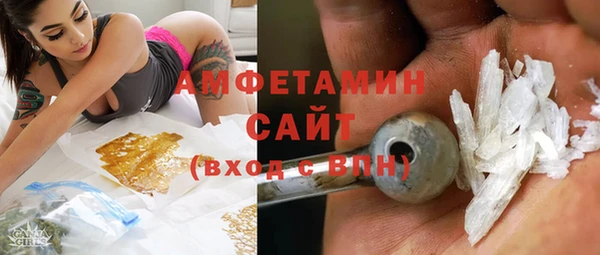 сатива Сатка