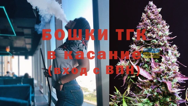 гашик Белокуриха