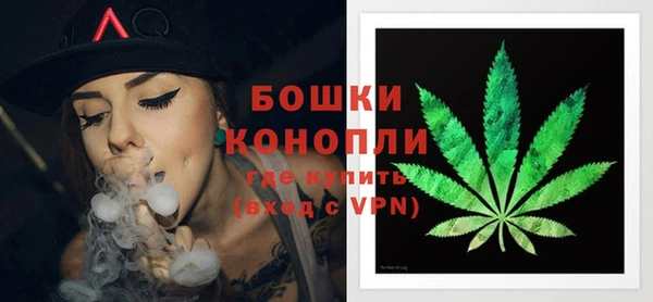 сатива Сатка