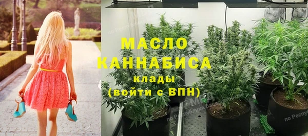 гидра Саяногорск