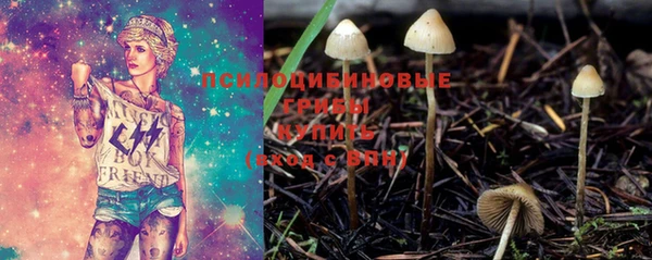 гашик Белокуриха
