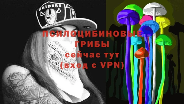 гидра Саяногорск