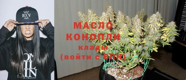 сатива Сатка