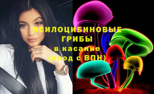 ГАЛЛЮЦИНОГЕННЫЕ ГРИБЫ Белоозёрский