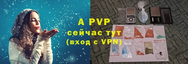 гашик Белокуриха