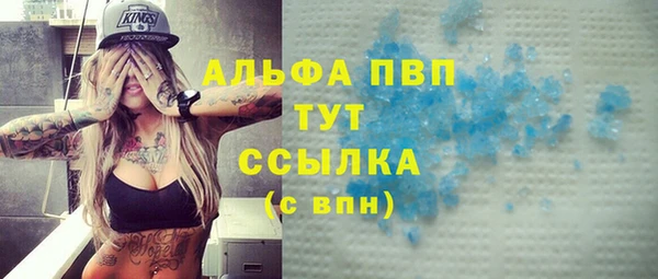 сатива Сатка