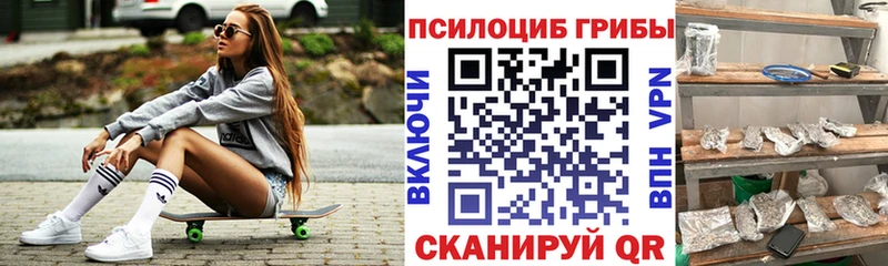 Псилоцибиновые грибы MAGIC MUSHROOMS  мега как войти  Шахунья  закладки 